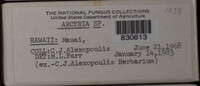 Image Associated With the Occurence